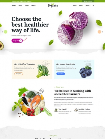 有机食品购物超市html5电商模板